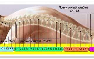 Болит спина психосоматика лиз бурбо