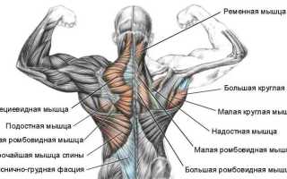 Что делать чтобы не болели мышцы спины