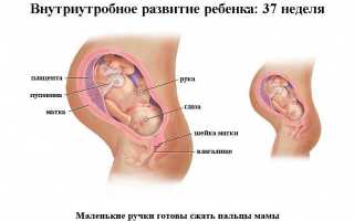 Беременность 37 неделя болит спина и низ живота