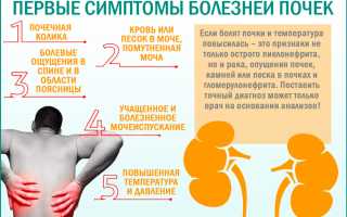 Спина болит температура могут ли быть это почки