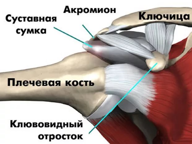 Болит спина шея и ключицы