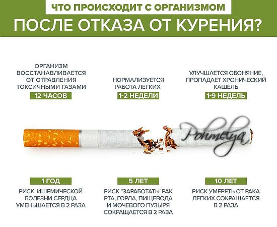выкурил много сигарет болит голова