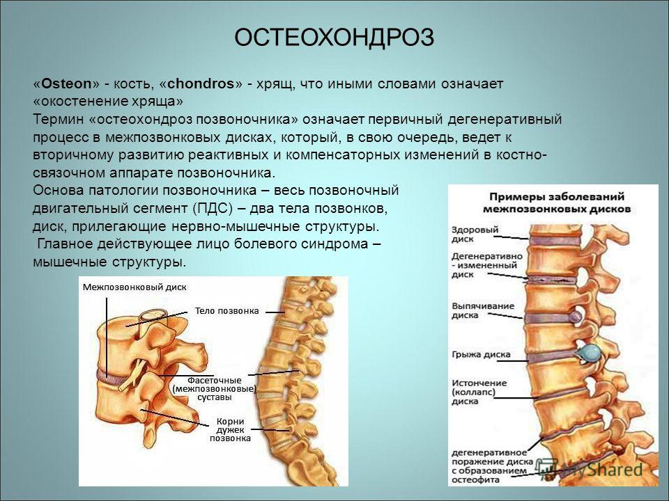От чего болит в левом подреберье и отдает в спину