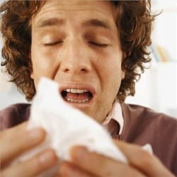 Свиной грипп А(H1N1)