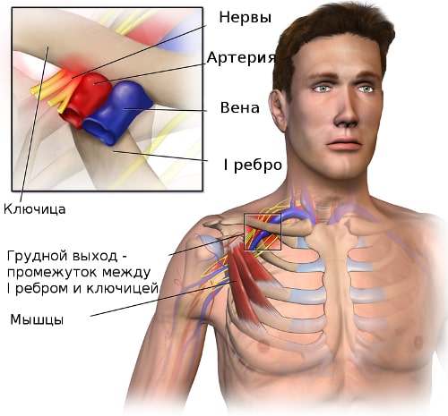 Болит спина шея и ключицы